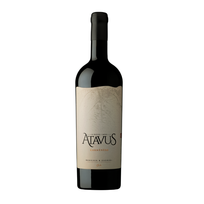 Mendoza & Carriel Atavus Carmenere
