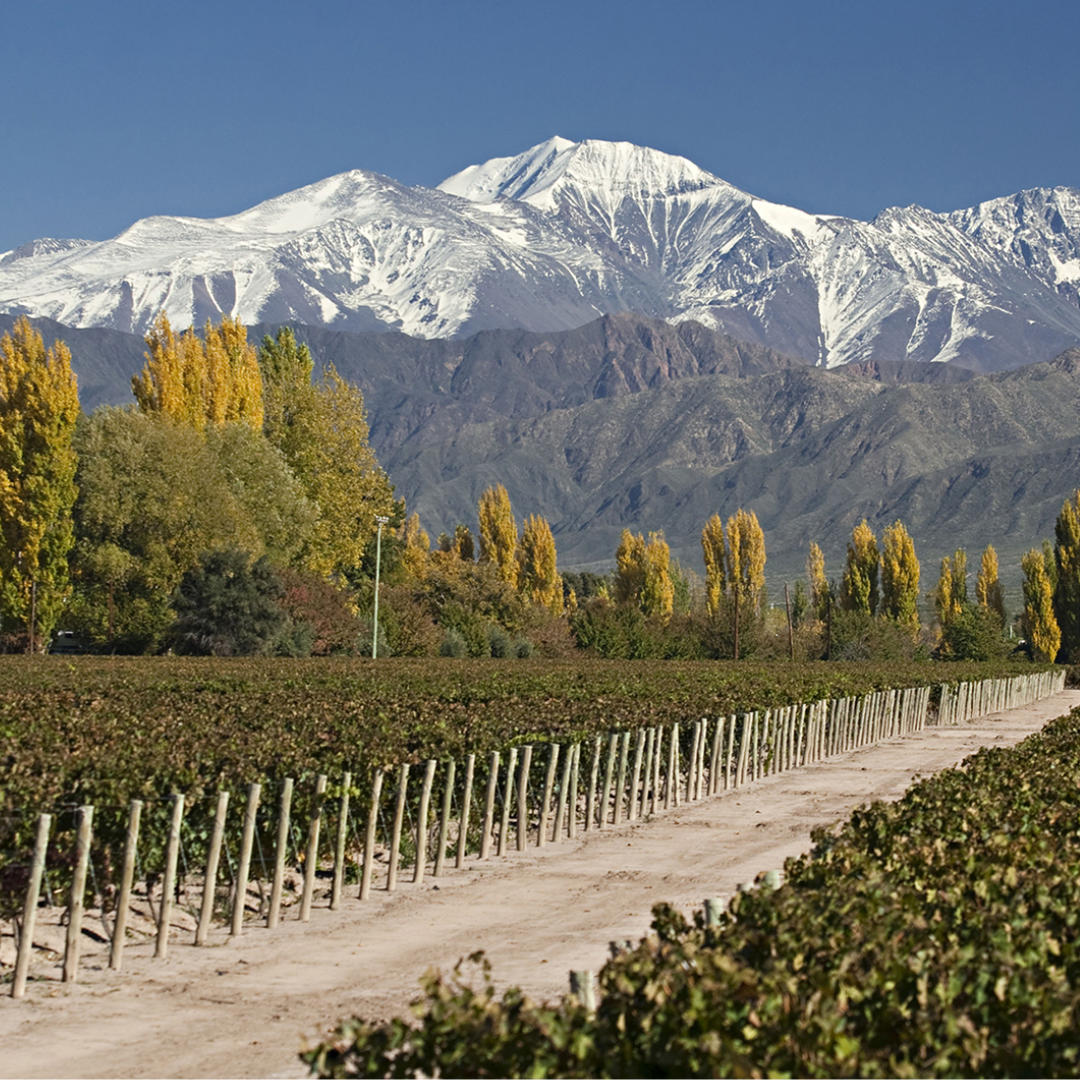 Andes